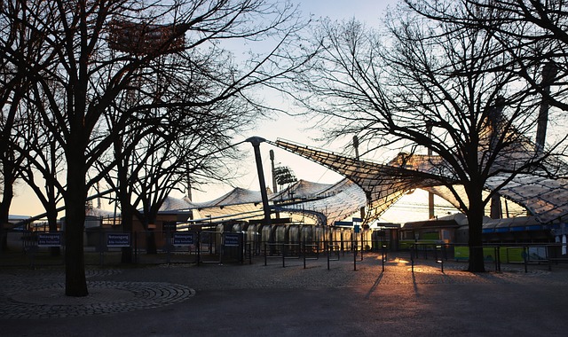 的表现赢得 的表现赢得