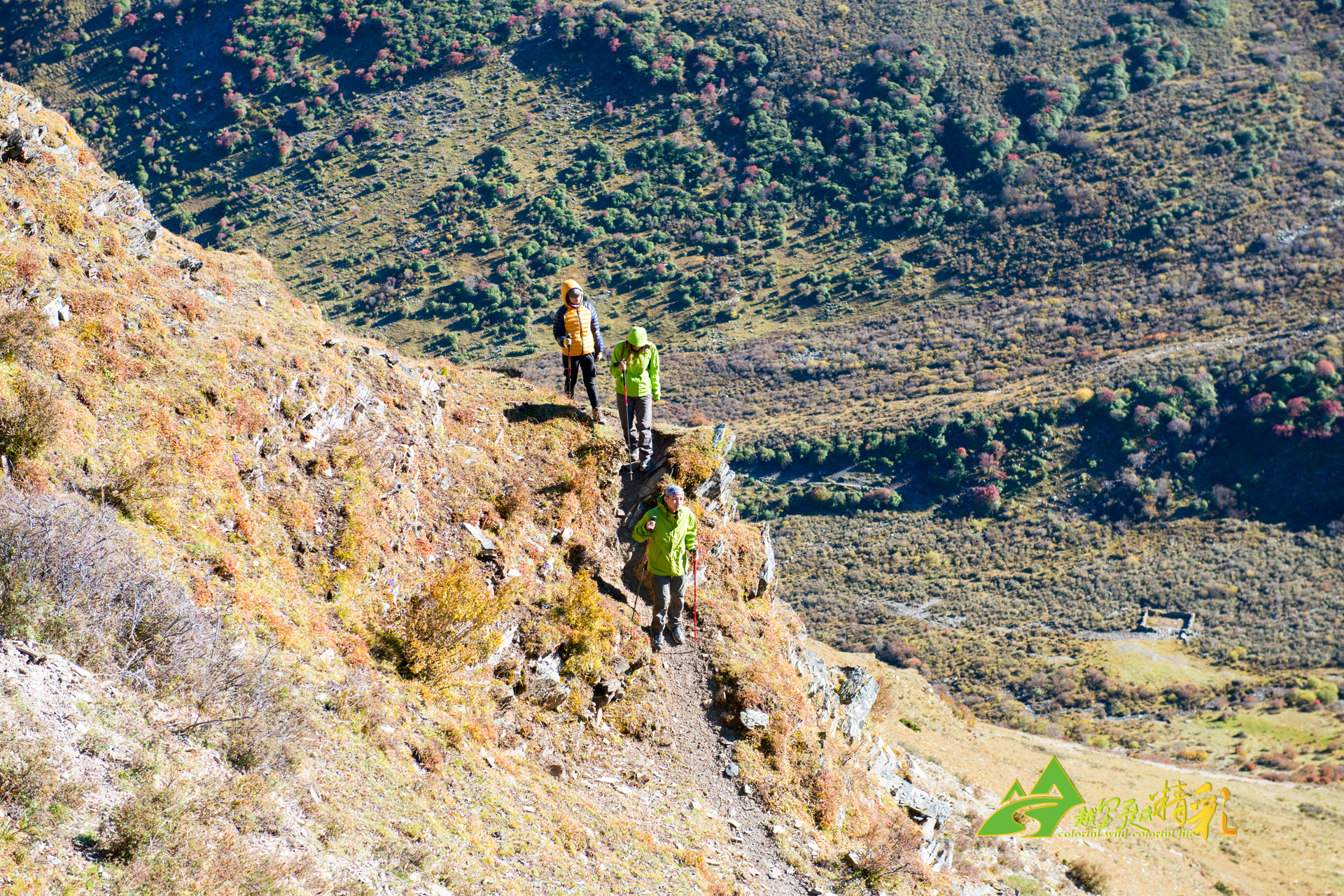 还是提供数 还是提供数