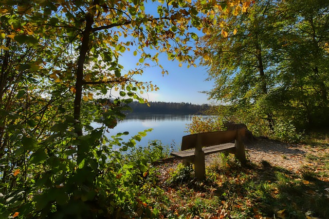 權費來增加 權費來增加